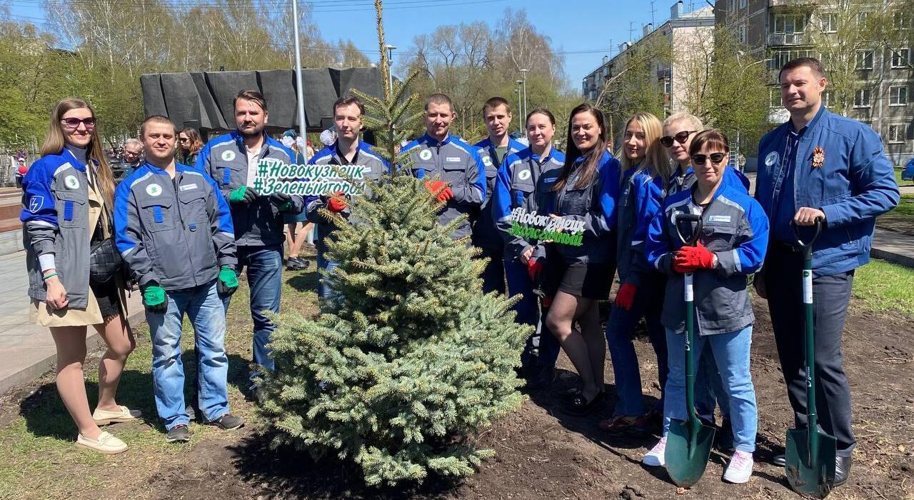 Высадка елей на Бульваре Героев